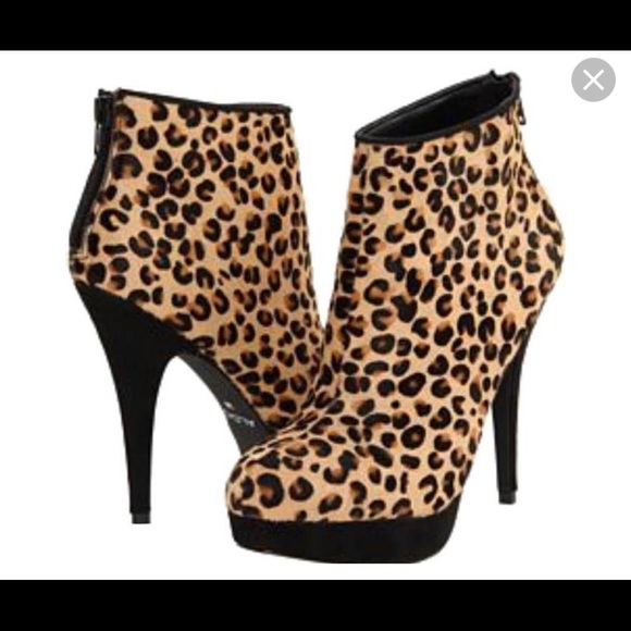 Aldo Shoes - Aldo Kovalcin Leopard print  Boots/booties